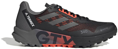 Atlete për meshkuj Adidas Terrex Agravic Flow 2 Gtx, nr. 43 1/3
