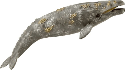 Figurë lodër Collecta Gray Whale, balenë gri, plastike