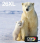 Пакување мастило Epson Polar Bear 26XL Multipack, 4 бои, Claria Premium