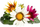 Kapsula bimore Click and Grow Gazania SGR92X3, 3 kapsula, shumëngjyrëshe