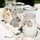 Set shishe qelqi Westmark Weck, 290 ml, 6 copë, xham i tejdukshëm