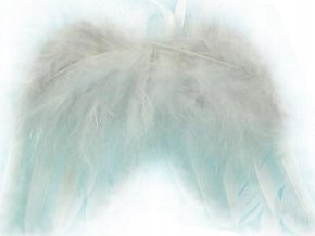 Dekor krahë engjëlli ADAR Angel Wings 444034, me pupla, i bardhë