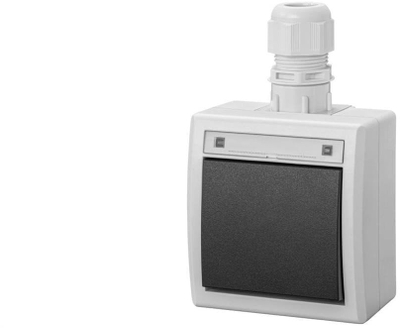 Ndërprerës njëpolësh dy-drejtim AQUANT IP65, i jashtëm, gri