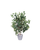 Lule artificiale Verde Decor Green Ficus Plant, 80cm