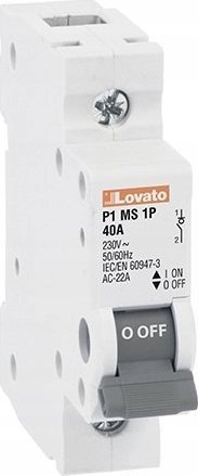 Ndërprerës modular Lovato P1M 1P, 125A, montim në shinë DIN, gri