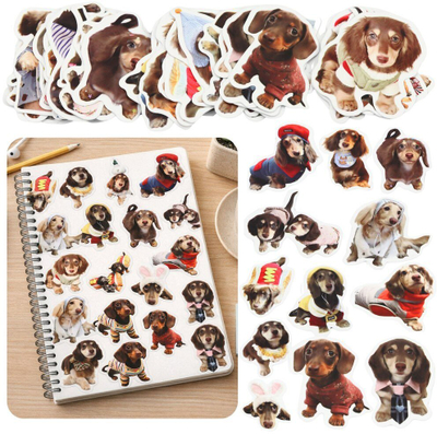 Set stikera letre qen Spaniel, 50 copë, ngjyra të përziera