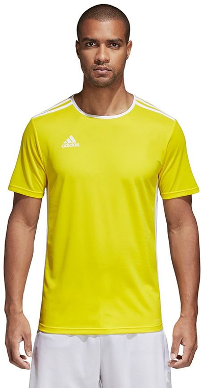 Maicë për meshkuj Adidas Entrada 18, XL, e verdhë