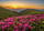 Puzzle Enjoy Pink Dusk, 1000 copa, peizazh me male, shumëngjyrësh