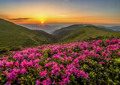Puzzle Enjoy Pink Dusk, 1000 copa, peizazh me male, shumëngjyrësh