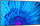 Ekran signage NEC MultiSync M981, 98", 4K, i zi