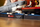 Set Lego Ideas Jaws 21350, dioramë ekspozimi, për të rritur, shumëngjyrësh