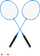 Set badminton Rebel Active, 2 raketa, 2 topa, metal