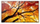 Monitor profesional Sharp MultiSync M322, 32", Full HD, i zi