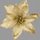 Unaza pecetash Star of Bethlehem, set 2 copë, plastike, ngjyrë ari