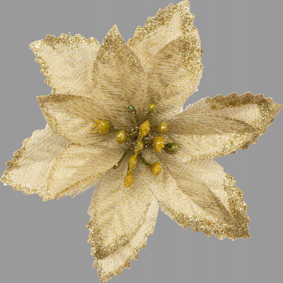 Unaza pecetash Star of Bethlehem, set 2 copë, plastike, ngjyrë ari