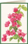 Kartolinë Tassotti Bougainvillea B6, me zarf, 200g/m², shumëngjyrëshe