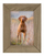 Kornizë fotografish Gift Decor Woodflow FrameFlip WF4437, format A6, efekt druri