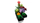Set LEGO Creator Succulents 10309, Botanical Collection, dekorativ, shumëngjyrësh