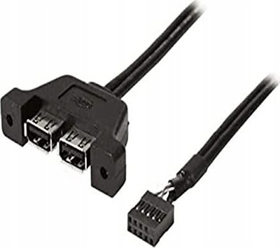 Kabllo USB 2.0 Asrock DeskMini Mini STX, 2 porta USB, i zi