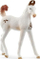 Figurë lodër Schleich Horse Club Marwari Foal, 8 cm, për koleksion, shumëngjyrëshe