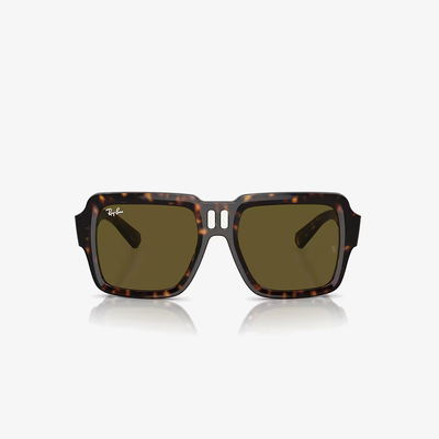 Ray-Ban RB4408 135973 54