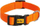 Jakore për qen Dingo Energy 1.0, 30 cm, 1 cm, portokalli