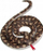 Lodër pelushi Sun Day PLUSH SNAKE 250CM, gjarpër, 250 cm, shumëngjyrësh