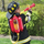 Lodër zjarrfikësi Theo Klein Firefighter Water Sprayer, 2L, spërkatës uji, shumëngjyrëshe