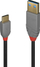 Kabllo Lindy, USB-A - USB-C, 1 m, e zezë