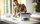 Tenxhere për oriz Russell Hobbs, 1000 W