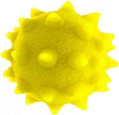 Top antistres Midex Squishy, me gjemba, 8 cm, shumëngjyrësh