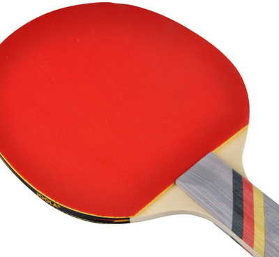 Set pingpongu Joola Team School 54825, raketa edhe toptha