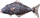 Jastëk peshku Halibut 72cm