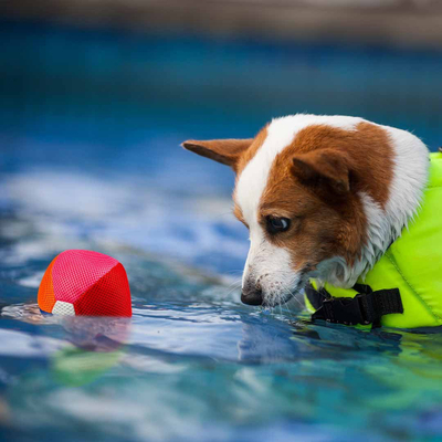 Lodër për qen Duvoplus Refresh Floating Ball, top që noton, me fishkëllimë, blu