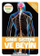 Sinir Sistemi Ve Beyin - Sema Gul