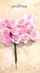 Lule letre për zbukurim Galeria Hobby Roses, set me 12 copë, rozë me të bardhë