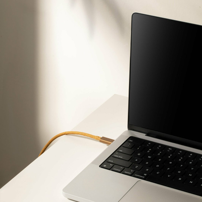 Kabllo USB C Native Union Belt Pro, USB C në USB C, 2.4 m, ngjyrë ari