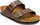 Sandale Birkenstock Arizona BF, shollë anatomike, dy rripa, bezhë