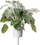 Refill kopshti inteligjent Click and Grow Dusty Miller, set 3 kapsula, dekorativ, gri argjendtë