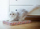 Dërrasë gërvishtëse për mace SportPet Cardboard Scratcher, karton, 45.7x25.4x3.8 cm, shumëngjyrëshe