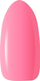 Llak xheli për thonj Claresa Easy Brush Gel, për llampa UV dhe LED, shumëngjyrësh