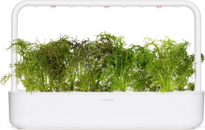 Fara bimore Click and Grow Red Frilly Mustard, pako me 3 copë, për Smart Garden, jeshile