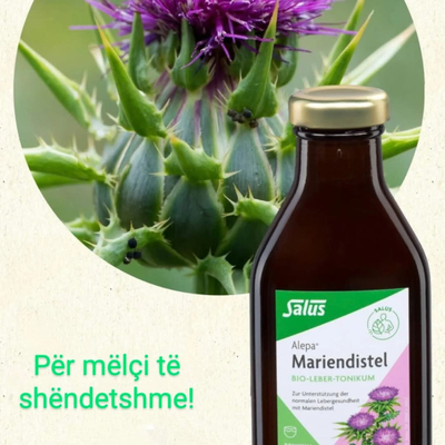 Floradix - ALEPA, 250 ml, Shurup bimor për pastrim Detox të mëlçisë