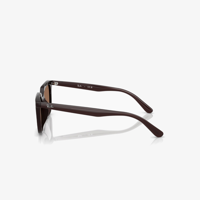 Ray-Ban RB4439D 623173 54
