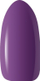 Llak xheli hibrid për thonj Claresa Purple Warmin Fall 5, 5ml, vjollcë e errët