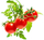 Click and Grow Smart Garden, садници мини домати