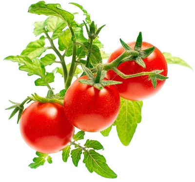 Click and Grow Smart Garden, садници мини домати