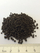 Substrat për akuarium Prodibio AquaGrowth Soil, 9L, me BacterKit Soil 6 ampula