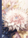 Fletore Flowers FRESH, 145x197mm, 64 fletë, me rrjeta