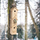 Shtëpi druri për zogj Bird Nest Box, 3 nivele, e madhe, ngjyrë druri natyral